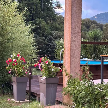 Paisible A La Campagne *
